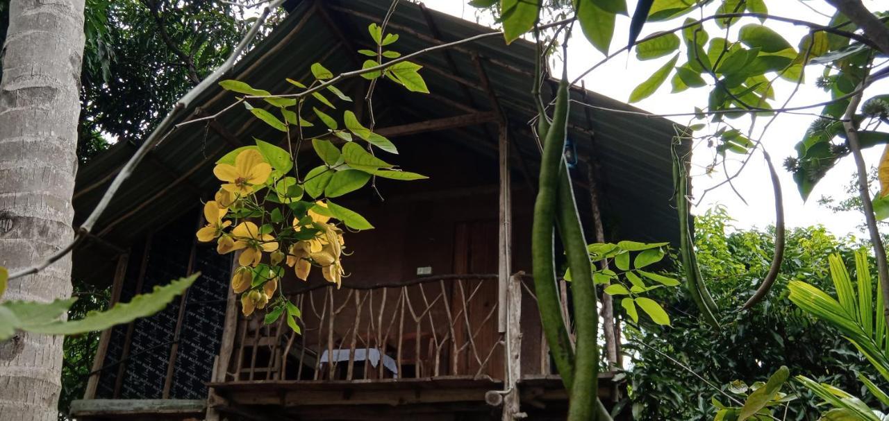 Sigiri Panaromic Tree House Villa Sigiriya Exterior photo